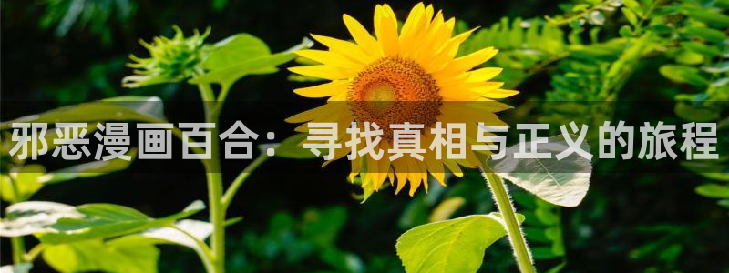 诚如神之所说樱花漫画